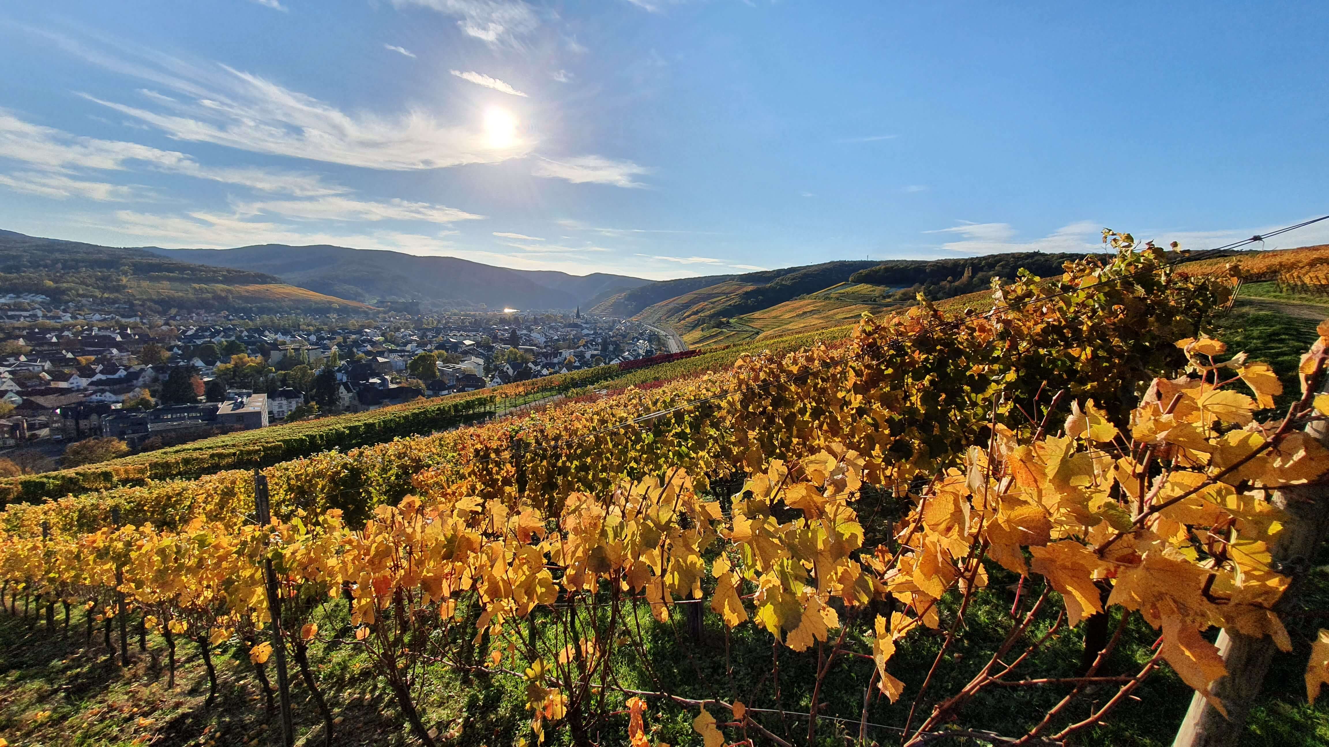 Herbstzeit im Ahrtal