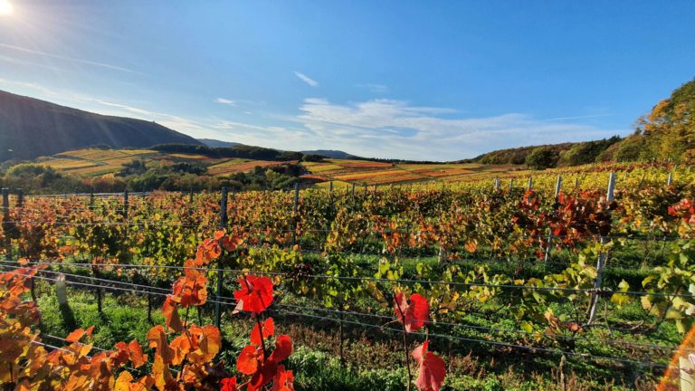 Herbstzeit im Ahrtal