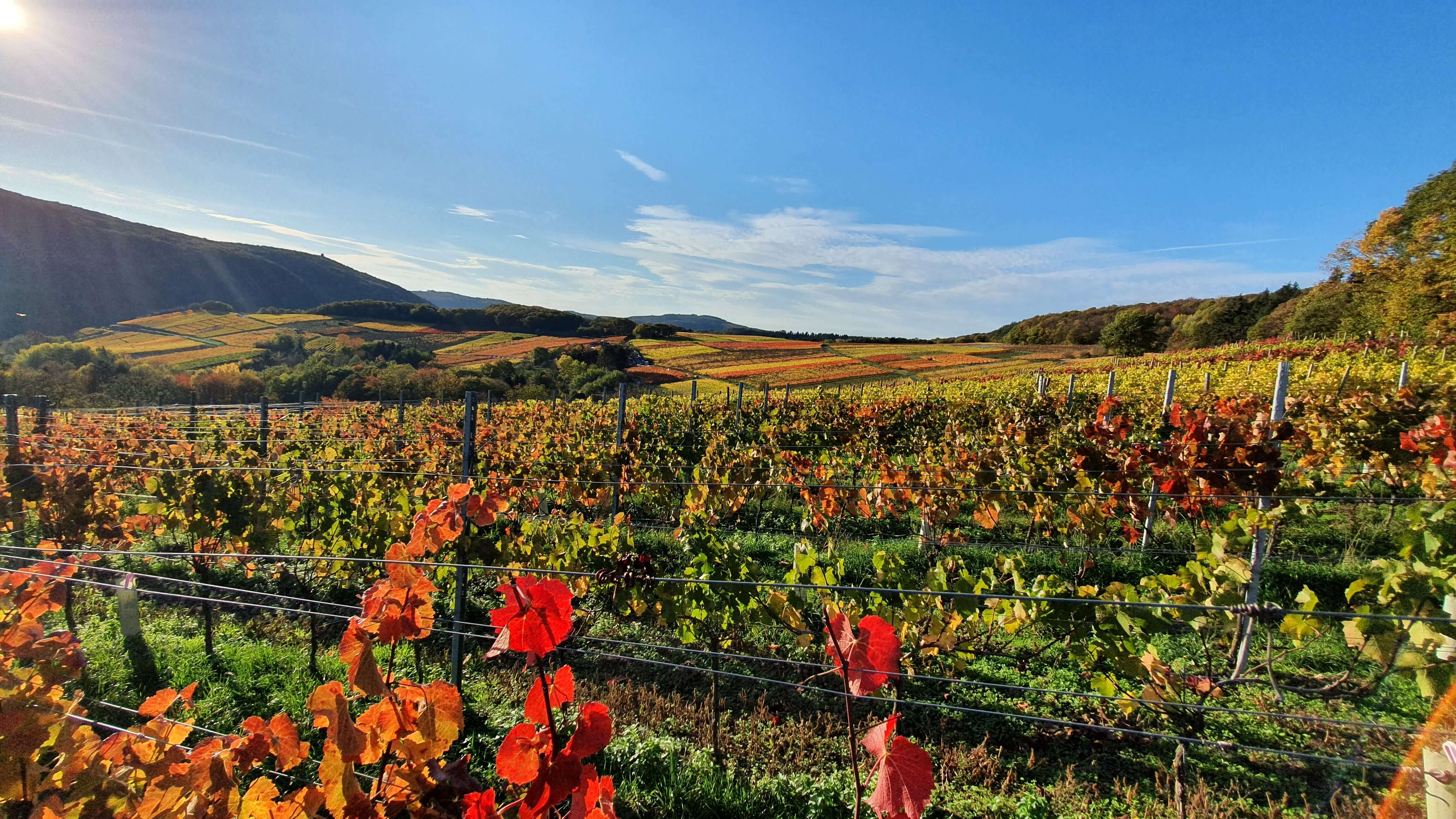 Herbstzeit im Ahrtal